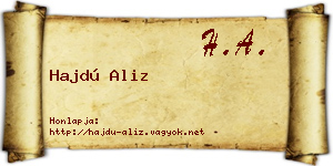 Hajdú Aliz névjegykártya